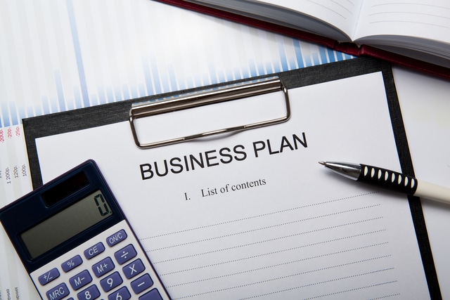 California business plan and formation timeline