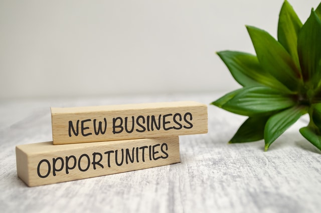 New business opportunities after incorporating in San Jose